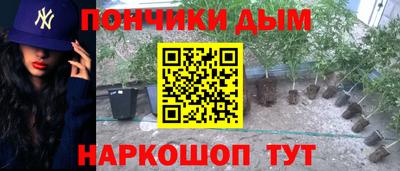 стаф Абакан