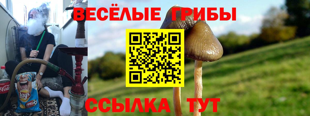 Галлюциногенные грибы мухоморы Альметьевск
